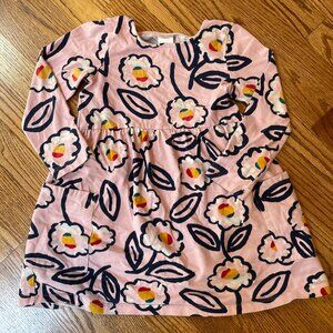 Hanna Andersson Pink Floral Long Sleeve Dress